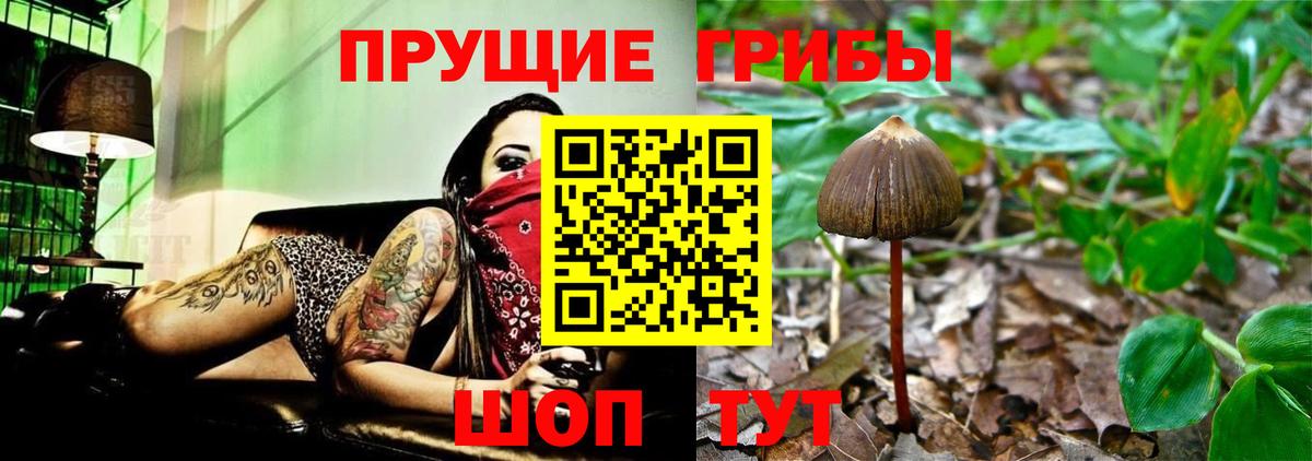 Псилоцибиновые грибы ЛСД Хасавюрт